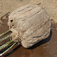 2.鉢に水をかける