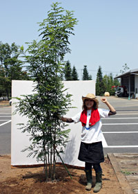 支柱完成♪