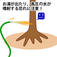 いきなり水をやってはいけません