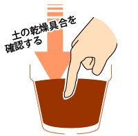 実際に触ってみると乾燥具合がわかります。