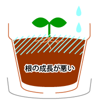 ちょっとだけの水では植物は生長しません