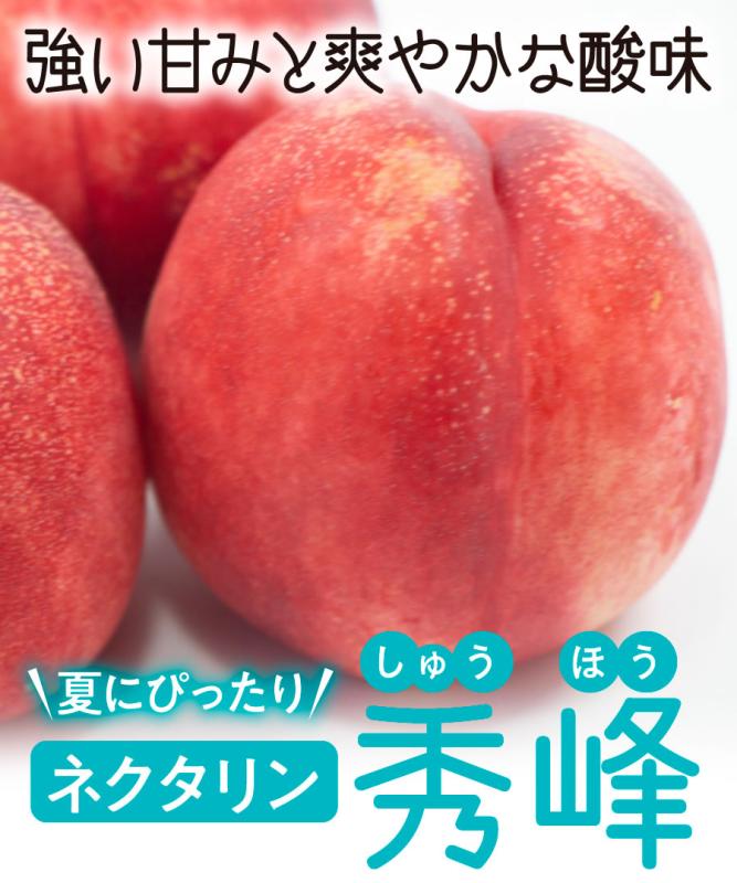 【桃苗木】【2年生苗】秀峰  高さ70cm～1.0m程度