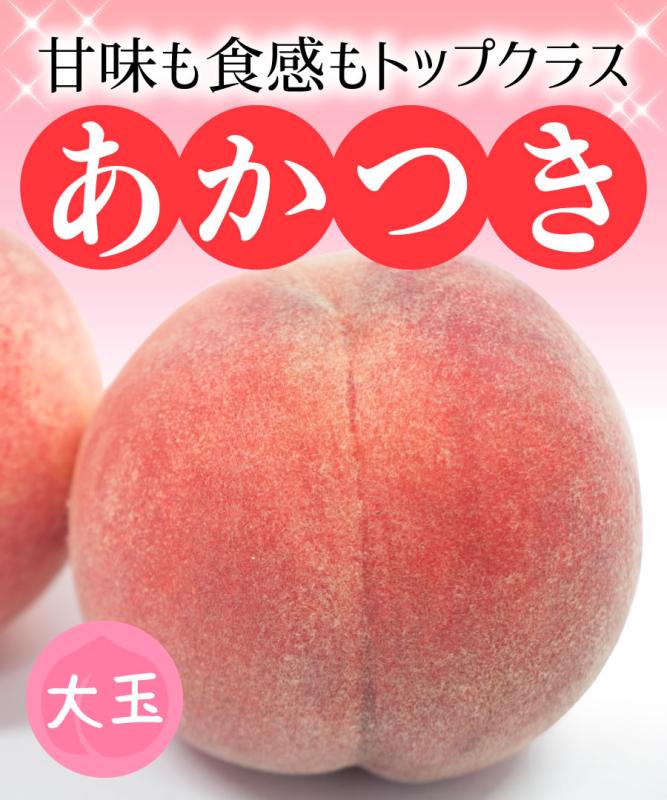 【桃苗木】【2年生苗】あかつき  高さ60cm～　