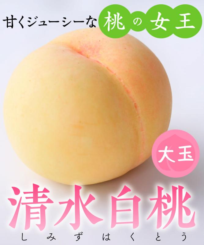 【桃苗木】【2年生苗】清水白桃  高さ70cm～1.0m程度