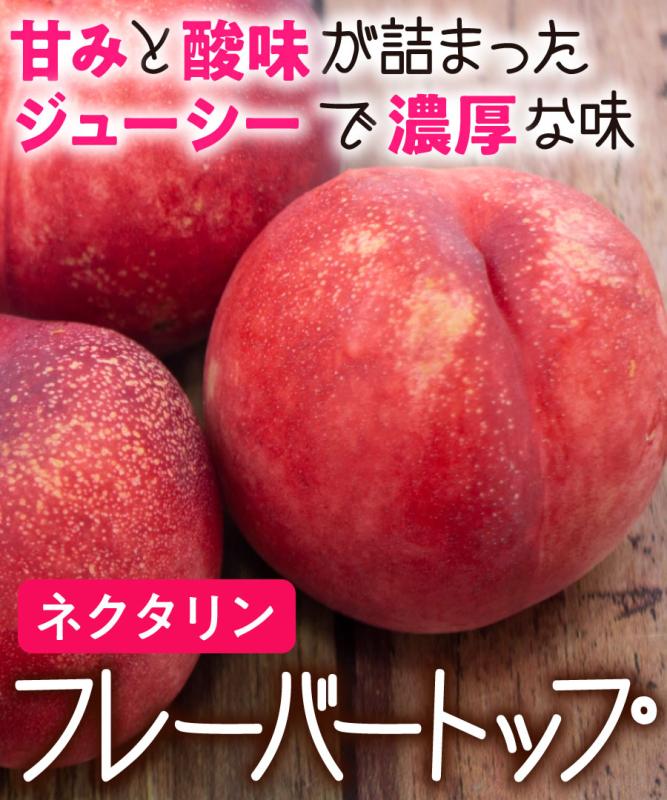 【桃苗木】【1年生苗】フレーバートップ  高さ70cm～1.0m程度