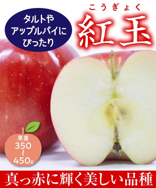 【リンゴ苗木】【2年生苗】紅玉（こうぎょく）  高さ70cm～1.0m程度