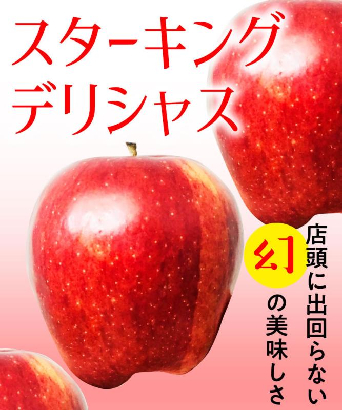 【リンゴ苗木】【2年生苗】スターキング　デリシャス  高さ70cm～1.0m程度