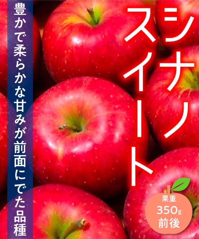 【リンゴ苗木】【2年生苗】シナノスイート　高さ70cm～1.0m程度