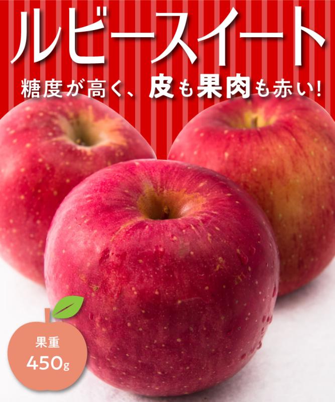 【リンゴ苗木】【2年生苗】ルビースイート　デリシャス  高さ70cm～1.0m程度