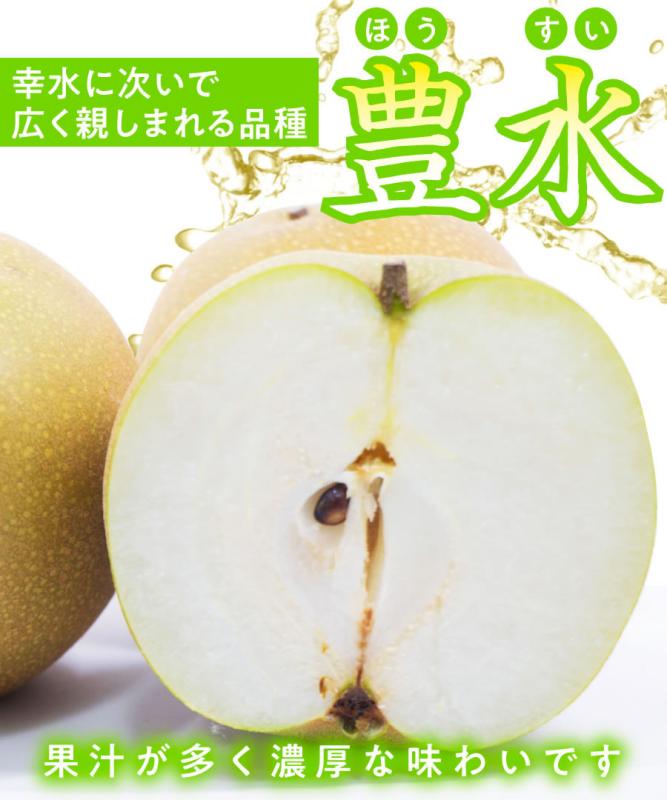 【梨苗木】【2年生苗】 豊水  高さ70cm～1.0m程度