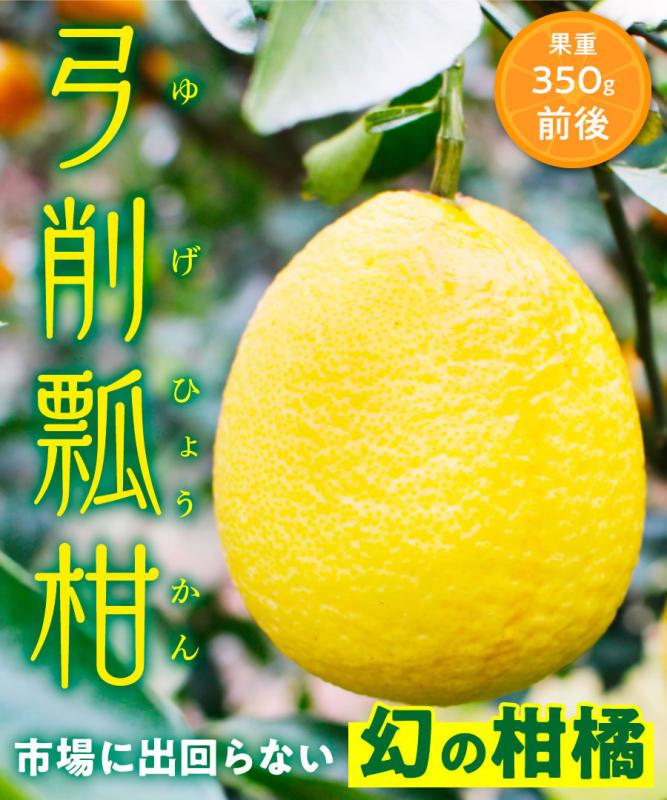 【柑橘苗木】【2年生苗】 弓削瓢柑（ゆげひょうかん）  高さ70cm～1.0m程度