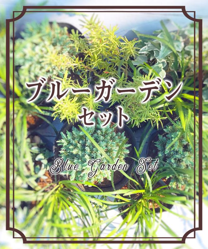 冬もかわいいブルーガーデンセット