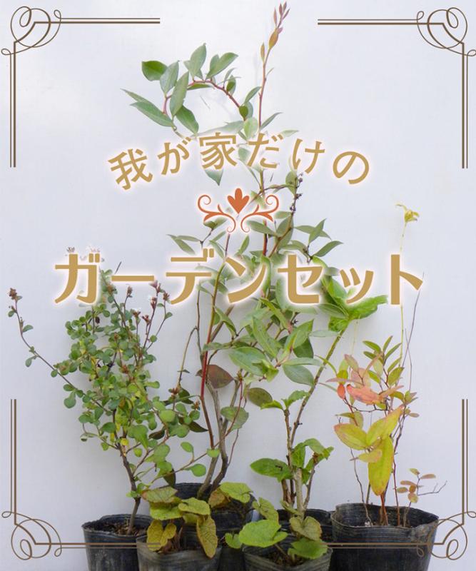 我が家だけのガーデンセット