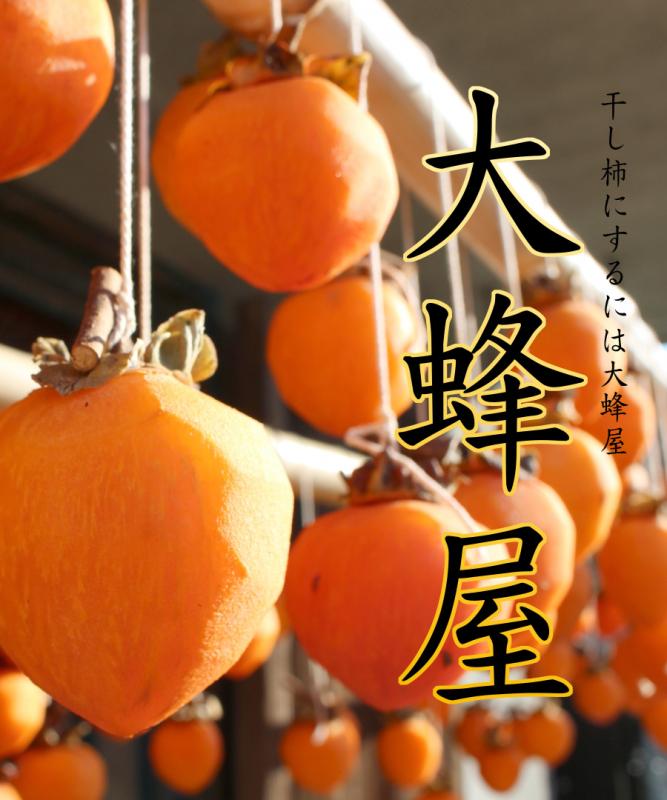 【柿苗木】【2年生苗】大蜂屋（おおはちや）   高さ70cm～1.0m
