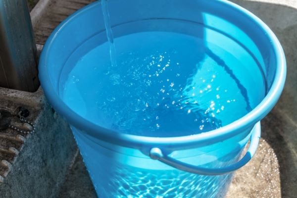 コガネムシ幼虫駆除:水につける