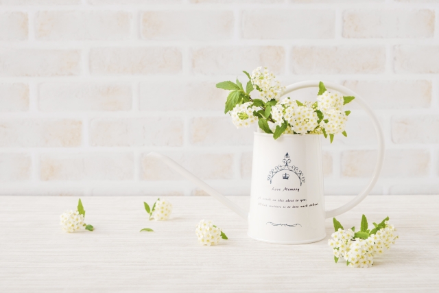 春に白やピンクの花が咲く庭木イメージ