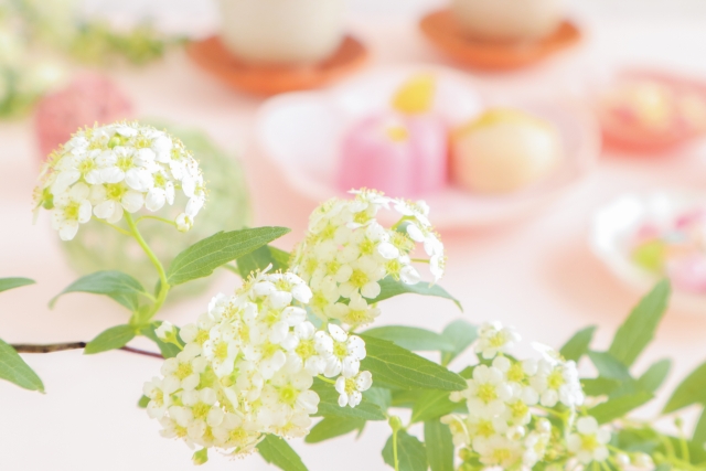 春に白やピンクの花が咲く庭木:コデマリ