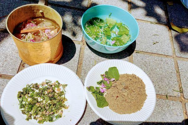 子どもが喜ぶお庭の植物:ミント:レモンバーム:ナスタチューム