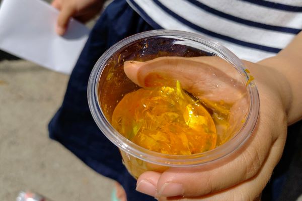 子どもが喜ぶお庭の植物:まとめ