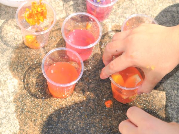 子どもが喜ぶお庭の植物：実験遊び