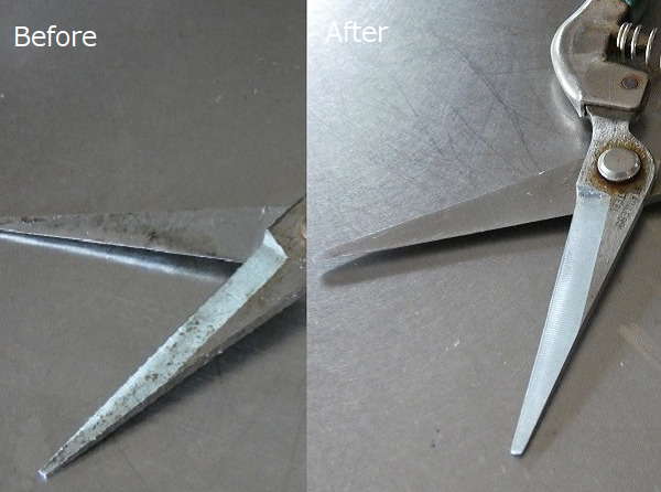 初心者でもできる剪定ばさみの手入れ方法:剪定ばさみの手入れ前後の比較画像