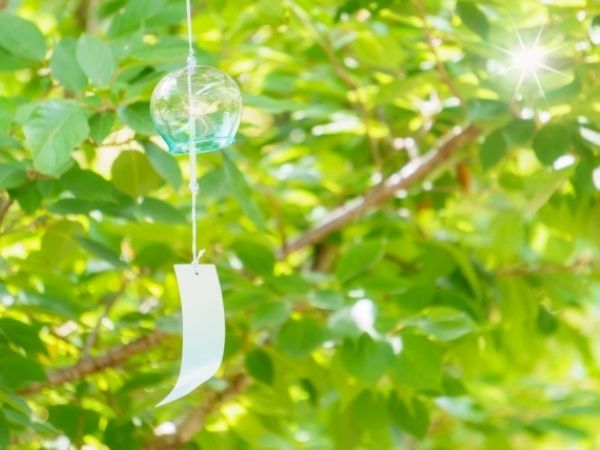 真夏の日差しや西日に強い中低木