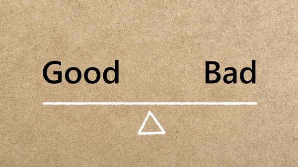 大きくならない常緑樹:goodまたはbad