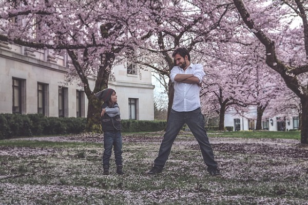 大きくならない常緑樹:桜の木の下にいる成人男性と男の子