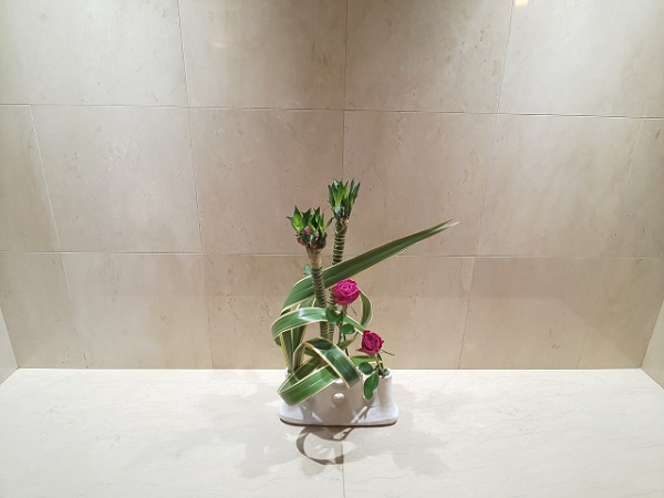 花壇に植えたいオシャレな宿根草:池花につかわれるニューサイランの葉