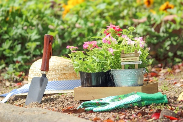４月の宿根草のお手入れ：春の苗の植え付け準備