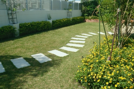 日の当たる庭