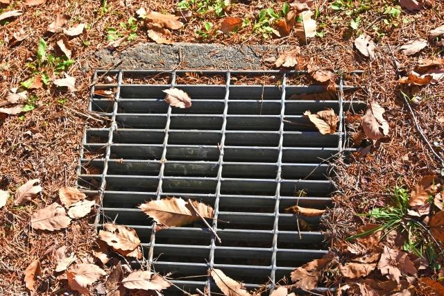 蚊の対策:落ち葉が散らばる排水溝
