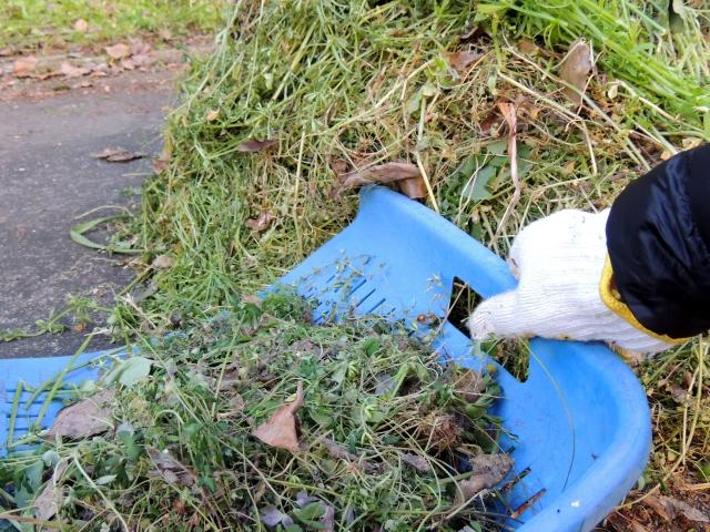 蚊の対策:むしった雑草を集める