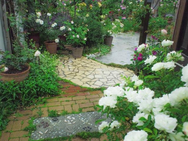 なめくじの駆除:白い花が美しい庭