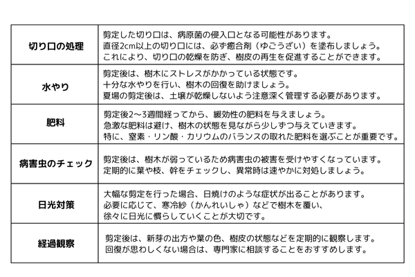 剪定時期:剪定後の庭木ケア表