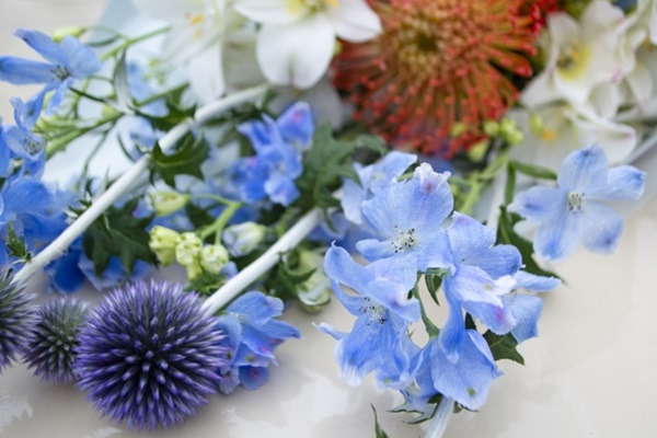 花の定期便:青色のデルフィニウムが入った花束