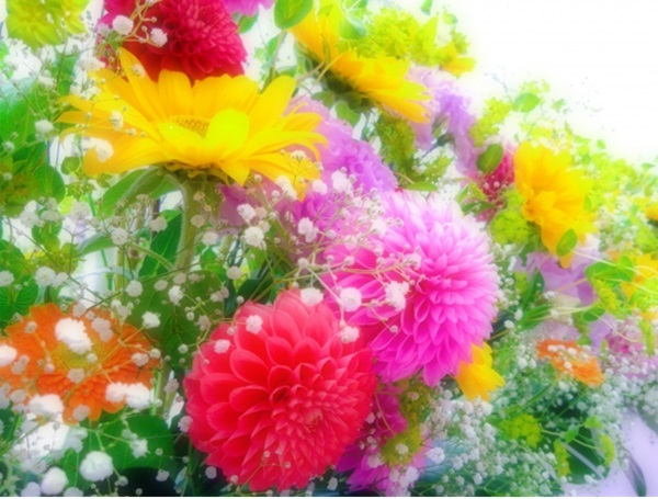 花の定期便:黄色いガーベラとカスミソウ