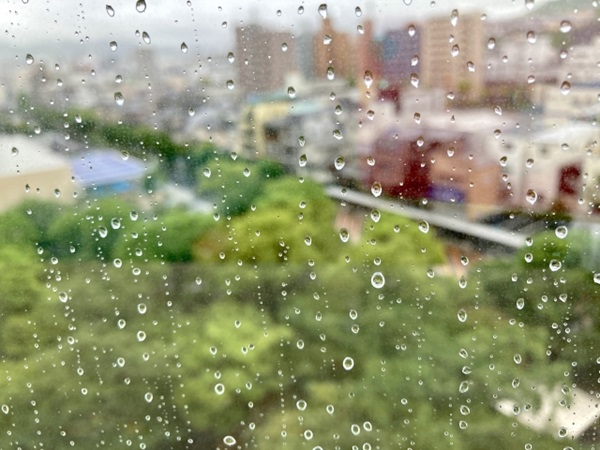 スワッグ&ドライフラワー:雨粒がついた高層階の窓