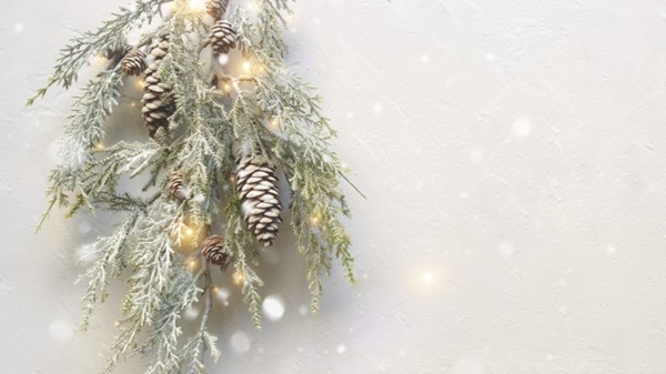 スワッグ&ドライフラワー:ホワイトクリスマス風のスワッグ