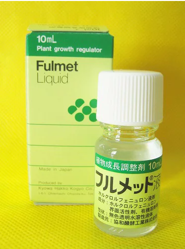 ジベレリン処理のポイント：フルメットを使おう