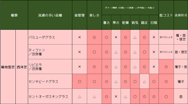 芝生の種類:暖地型西洋芝の特徴