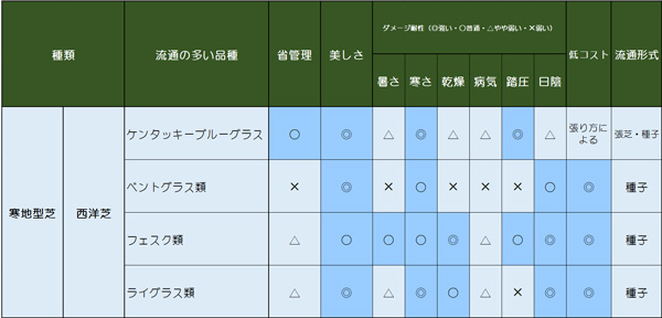 芝生の種類:寒地型西洋芝の特徴