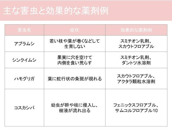 主な外注と効果的な薬剤例