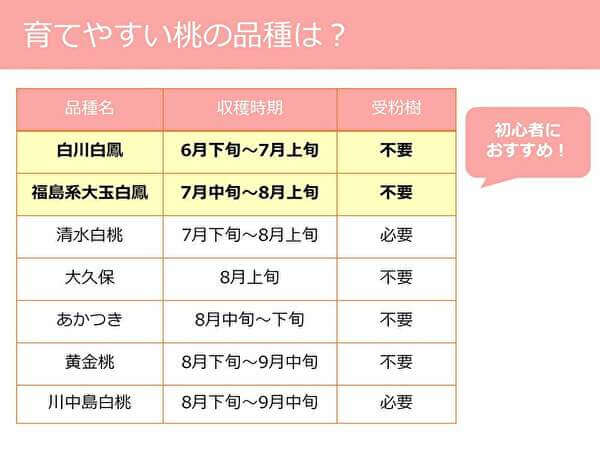 育てやすい桃の品種