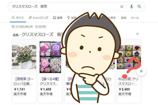 クリスマスローズの買い方:ネット通販