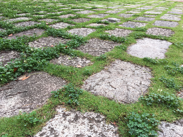 失敗する芝生:障害物が多い