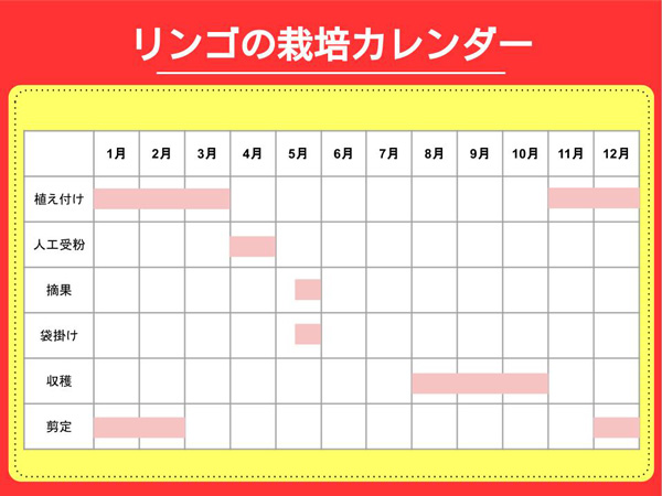 リンゴの育て方:栽培カレンダー