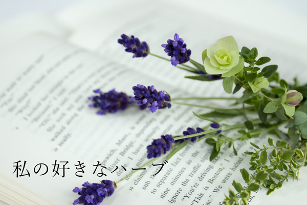 おすすめのハーブ:ハーブの魅力