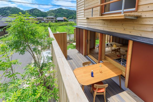 シマトネリコの育て方:シマトネリコを植えた理由