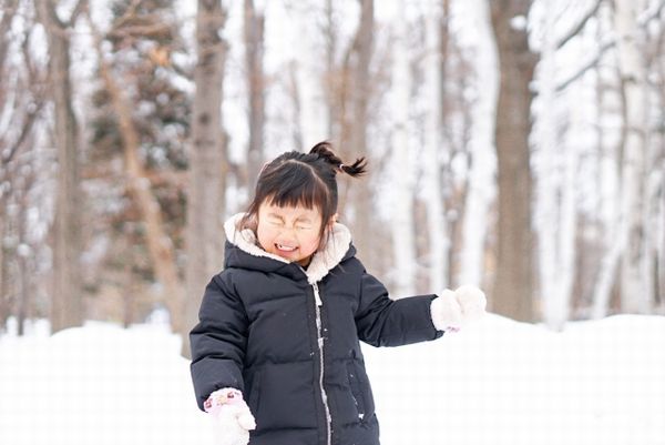 シマトネリコの育て方:シマトネリコを雪から守る方法